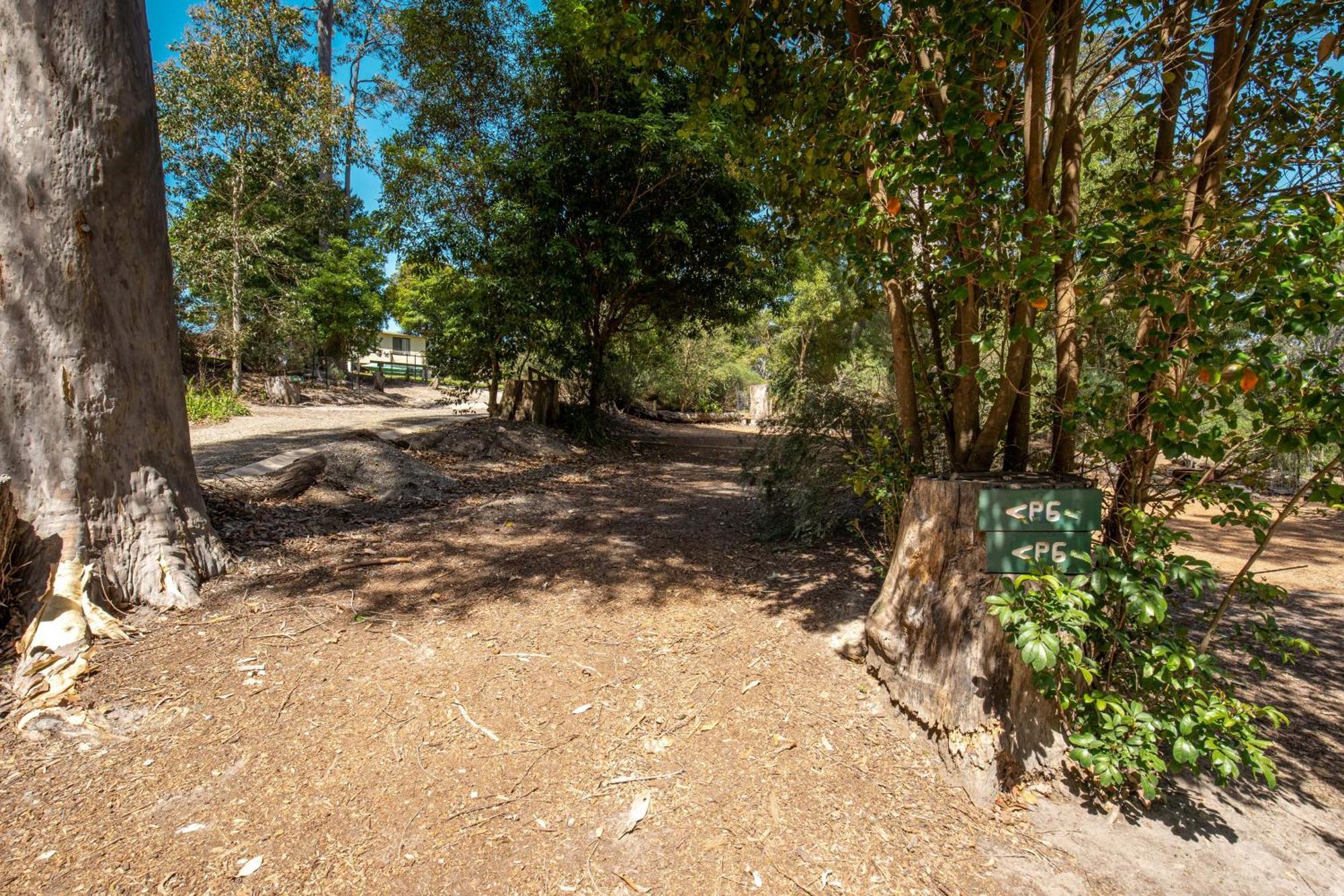 Durras Lake North Holiday Park Екстер'єр фото